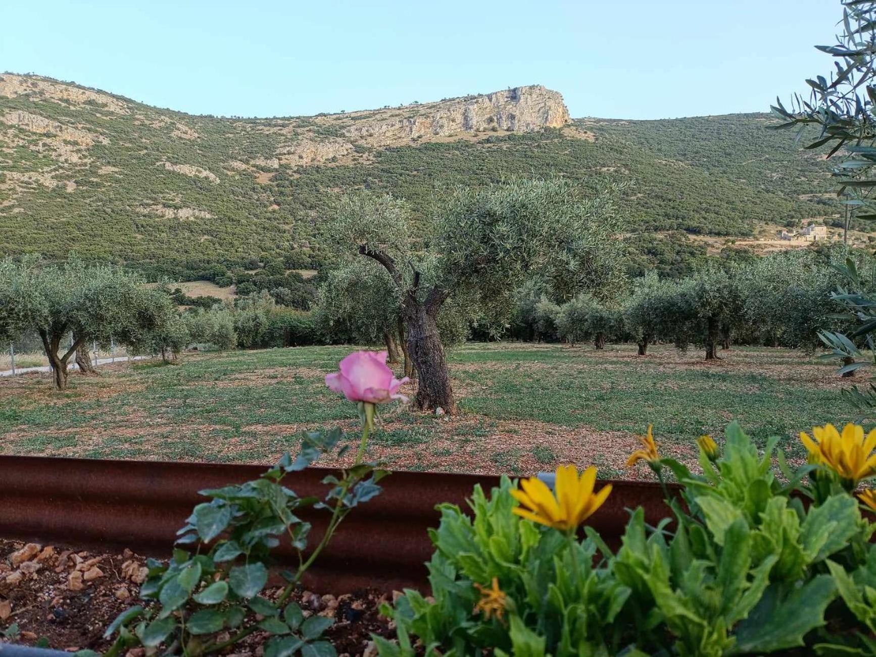 Elaia Holiday home Fregkena